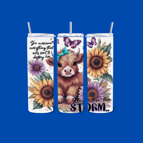 20oz Tumbler With Words of Wisdom